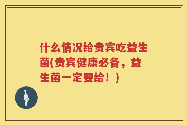 什么情况给贵宾吃益生菌(贵宾健康必备，益生菌一定要给！)