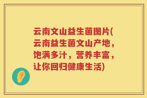 云南文山益生菌图片(云南益生菌文山产地，饱满多汁，营养丰富，让你回归健康生活)