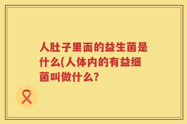 人肚子里面的益生菌是什么(人体内的有益细菌叫做什么？