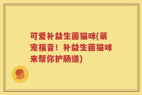 可爱补益生菌猫咪(萌宠福音！补益生菌猫咪来帮你护肠道)