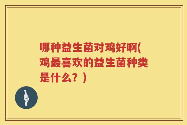 哪种益生菌对鸡好啊(鸡最喜欢的益生菌种类是什么？)