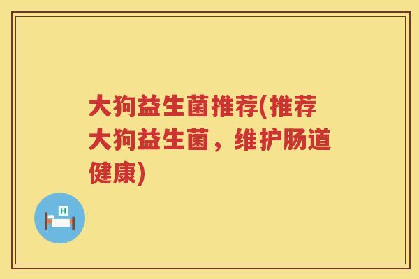大狗益生菌推荐(推荐大狗益生菌，维护肠道健康)