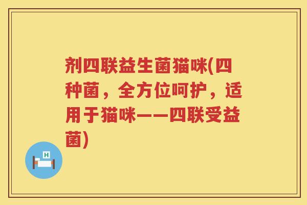 剂四联益生菌猫咪(四种菌，全方位呵护，适用于猫咪——四联受益菌)
