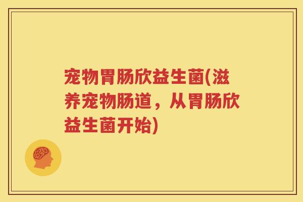 宠物胃肠欣益生菌(滋养宠物肠道，从胃肠欣益生菌开始)