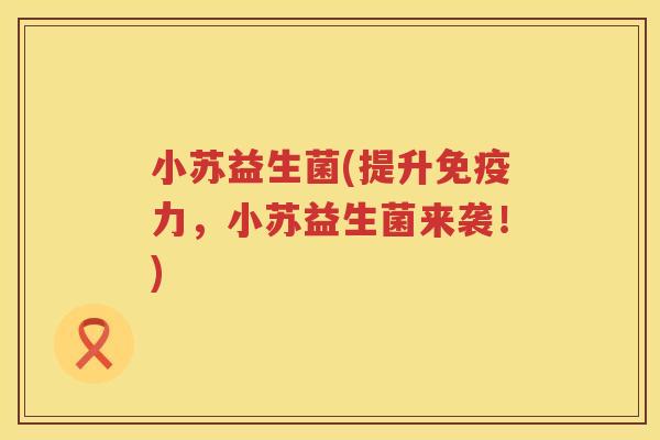小苏益生菌(提升免疫力，小苏益生菌来袭！)