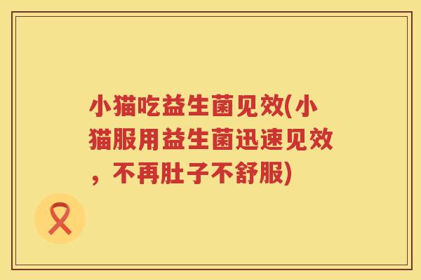 小猫吃益生菌见效(小猫服用益生菌迅速见效，不再肚子不舒服)
