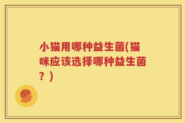 小猫用哪种益生菌(猫咪应该选择哪种益生菌？)