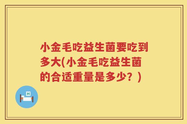 小金毛吃益生菌要吃到多大(小金毛吃益生菌的合适重量是多少？)
