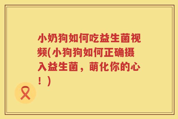 小奶狗如何吃益生菌视频(小狗狗如何正确摄入益生菌，萌化你的心！)