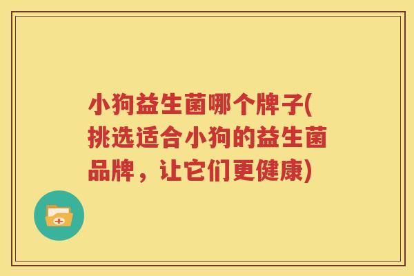 小狗益生菌哪个牌子(挑选适合小狗的益生菌品牌，让它们更健康)