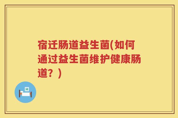 宿迁肠道益生菌(如何通过益生菌维护健康肠道？)