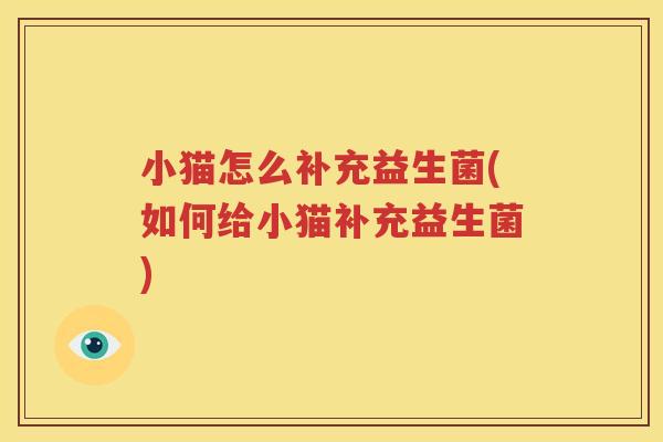 小猫怎么补充益生菌(如何给小猫补充益生菌)