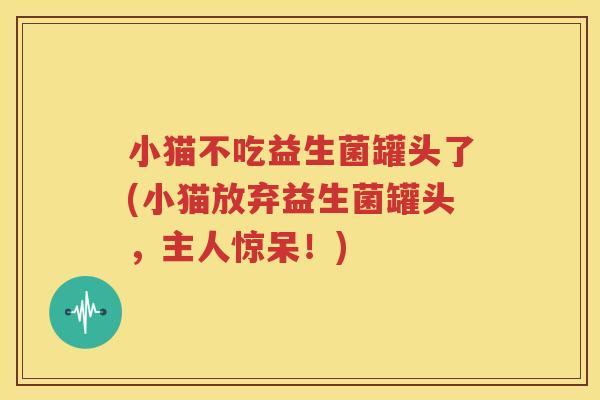 小猫不吃益生菌罐头了(小猫放弃益生菌罐头，主人惊呆！)