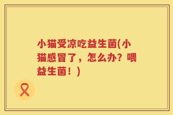 小猫受凉吃益生菌(小猫感冒了，怎么办？喂益生菌！)