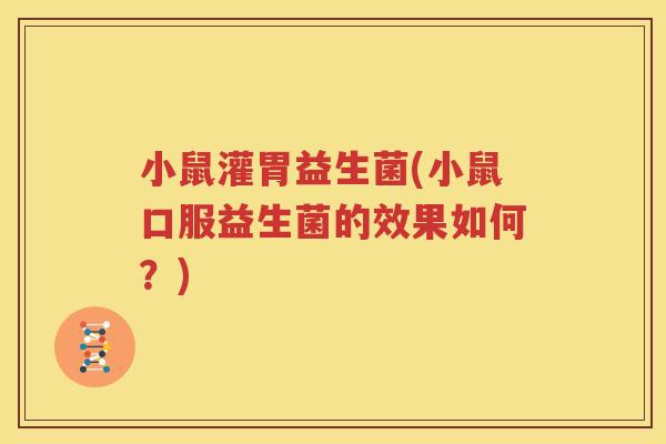 小鼠灌胃益生菌(小鼠口服益生菌的效果如何？)