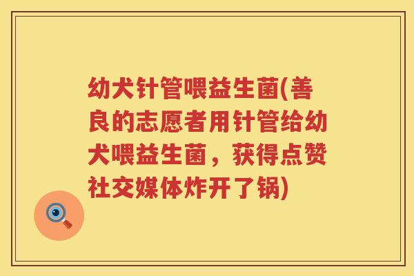 幼犬针管喂益生菌(善良的志愿者用针管给幼犬喂益生菌，获得点赞社交媒体炸开了锅)