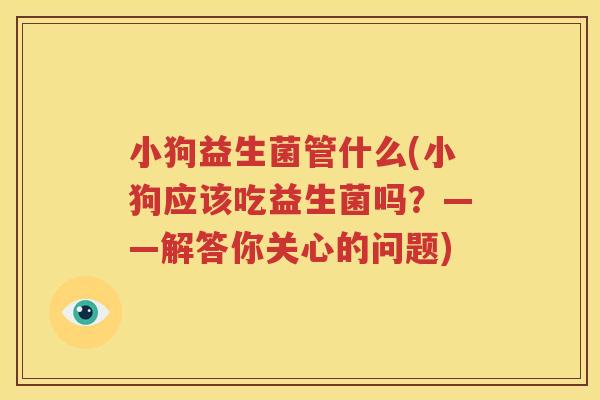 小狗益生菌管什么(小狗应该吃益生菌吗？——解答你关心的问题)