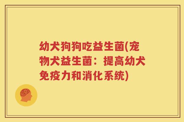 幼犬狗狗吃益生菌(宠物犬益生菌：提高幼犬免疫力和消化系统)