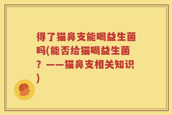 得了猫鼻支能喝益生菌吗(能否给猫喝益生菌？——猫鼻支相关知识)