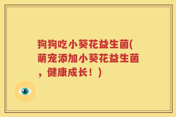 狗狗吃小葵花益生菌(萌宠添加小葵花益生菌，健康成长！)