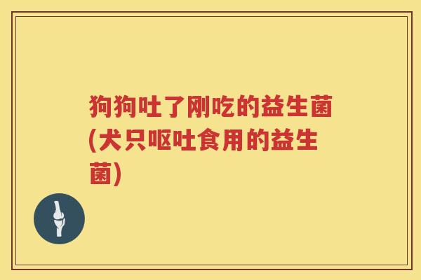 狗狗吐了刚吃的益生菌(犬只呕吐食用的益生菌)