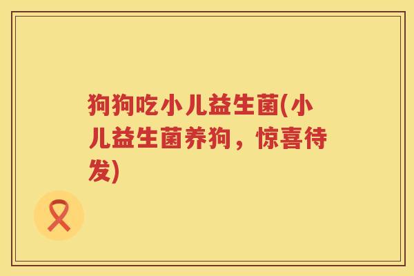 狗狗吃小儿益生菌(小儿益生菌养狗，惊喜待发)