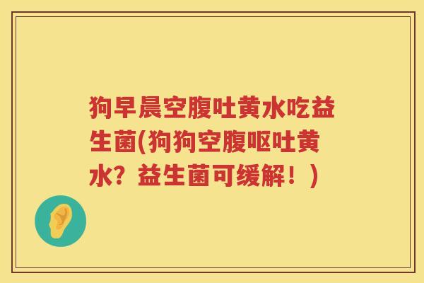 狗早晨空腹吐黄水吃益生菌(狗狗空腹呕吐黄水？益生菌可缓解！)