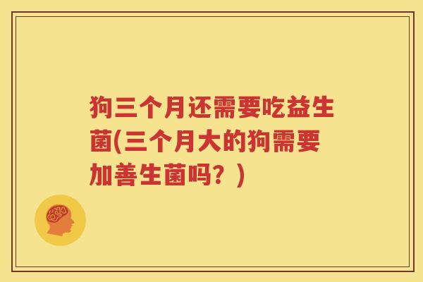 狗三个月还需要吃益生菌(三个月大的狗需要加善生菌吗？)