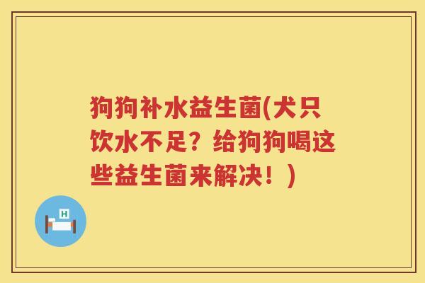 狗狗补水益生菌(犬只饮水不足？给狗狗喝这些益生菌来解决！)