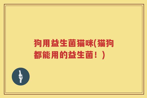 狗用益生菌猫咪(猫狗都能用的益生菌！)