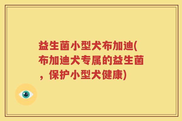 益生菌小型犬布加迪(布加迪犬专属的益生菌，保护小型犬健康)