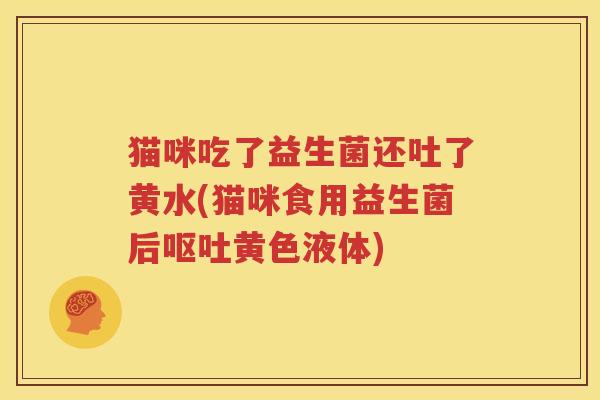 猫咪吃了益生菌还吐了黄水(猫咪食用益生菌后呕吐黄色液体)