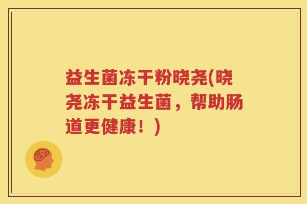 益生菌冻干粉晓尧(晓尧冻干益生菌，帮助肠道更健康！)