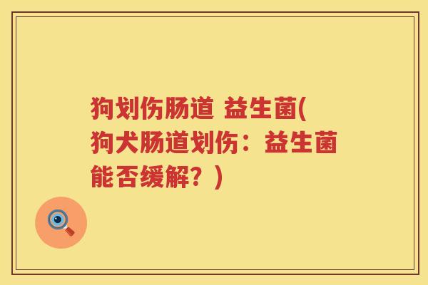 狗划伤肠道 益生菌(狗犬肠道划伤：益生菌能否缓解？)