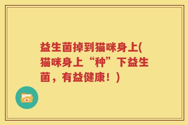 益生菌掉到猫咪身上(猫咪身上“种”下益生菌，有益健康！)