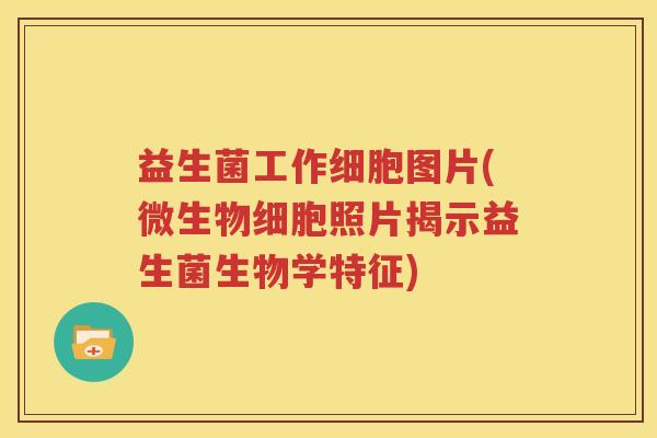 益生菌工作细胞图片(微生物细胞照片揭示益生菌生物学特征)