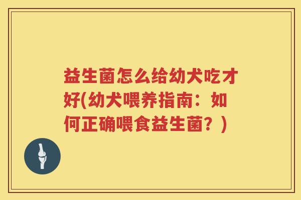 益生菌怎么给幼犬吃才好(幼犬喂养指南：如何正确喂食益生菌？)