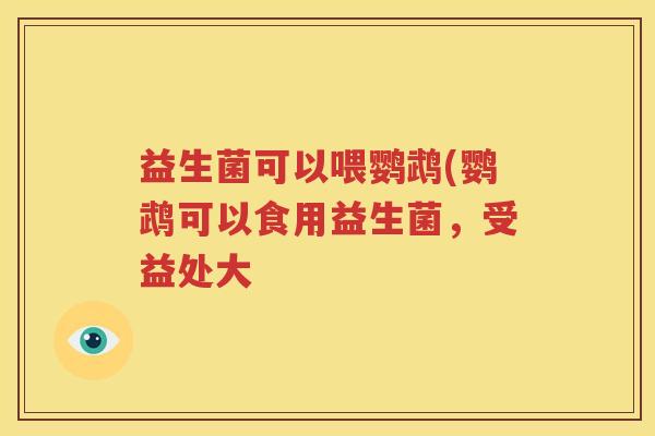 益生菌可以喂鹦鹉(鹦鹉可以食用益生菌，受益处大