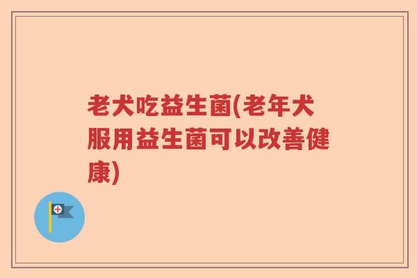 老犬吃益生菌(老年犬服用益生菌可以改善健康)